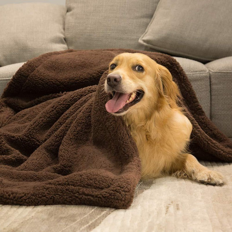 TitanPaws Ultra-Soft Recovery Blanket for Dogs